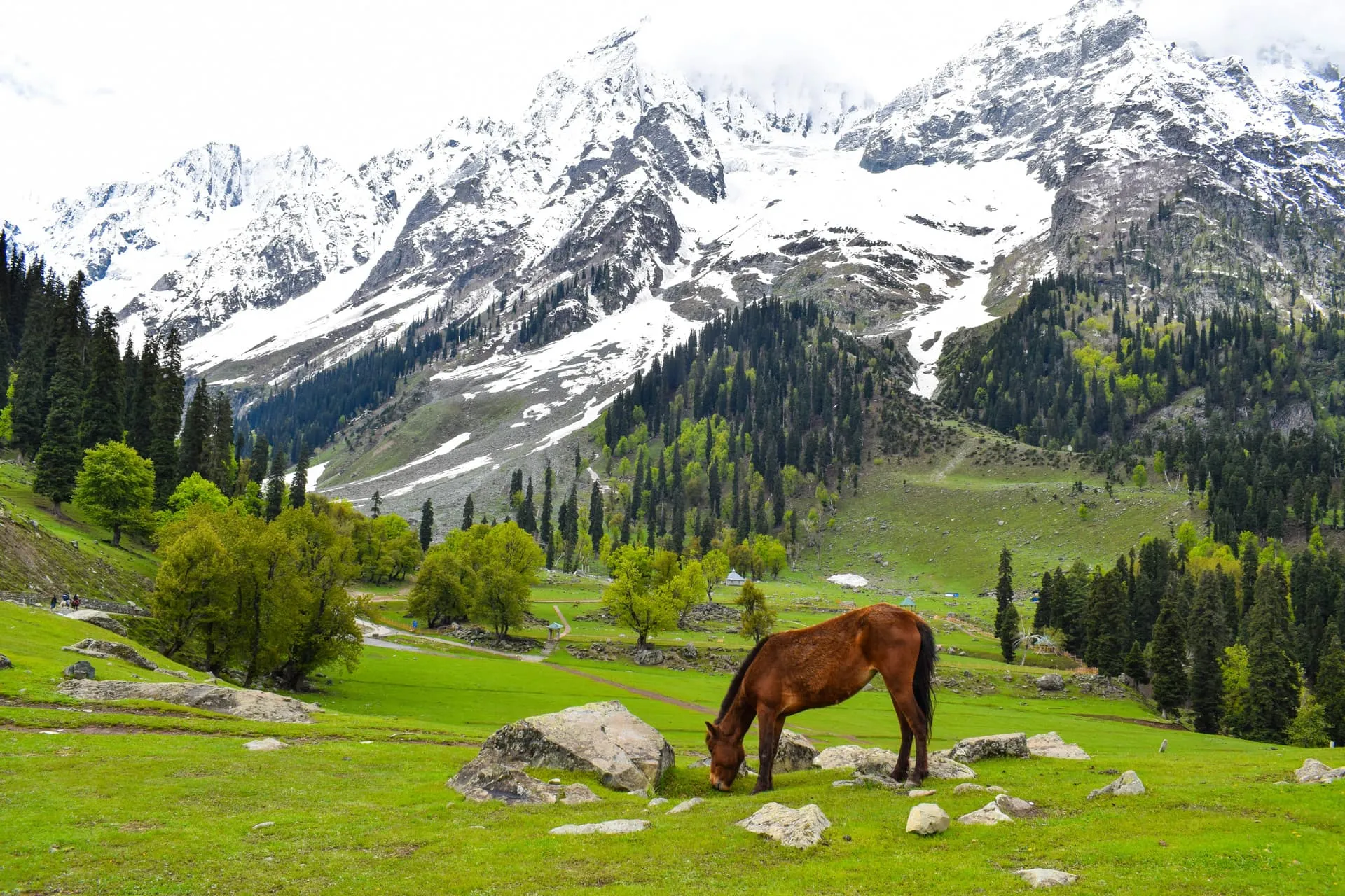 Kashmir - Background 1