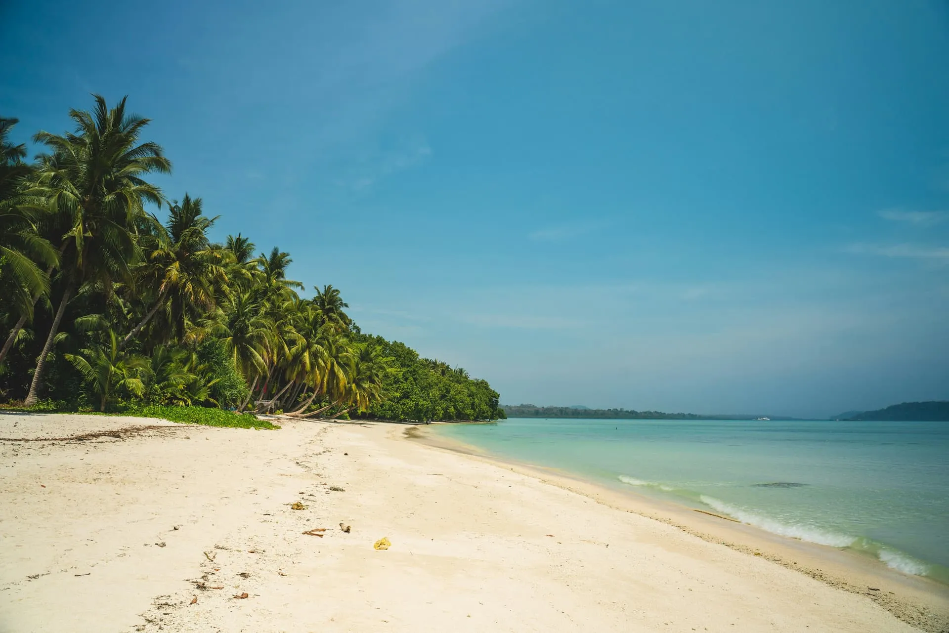 Andaman & Nicobar - Background 2