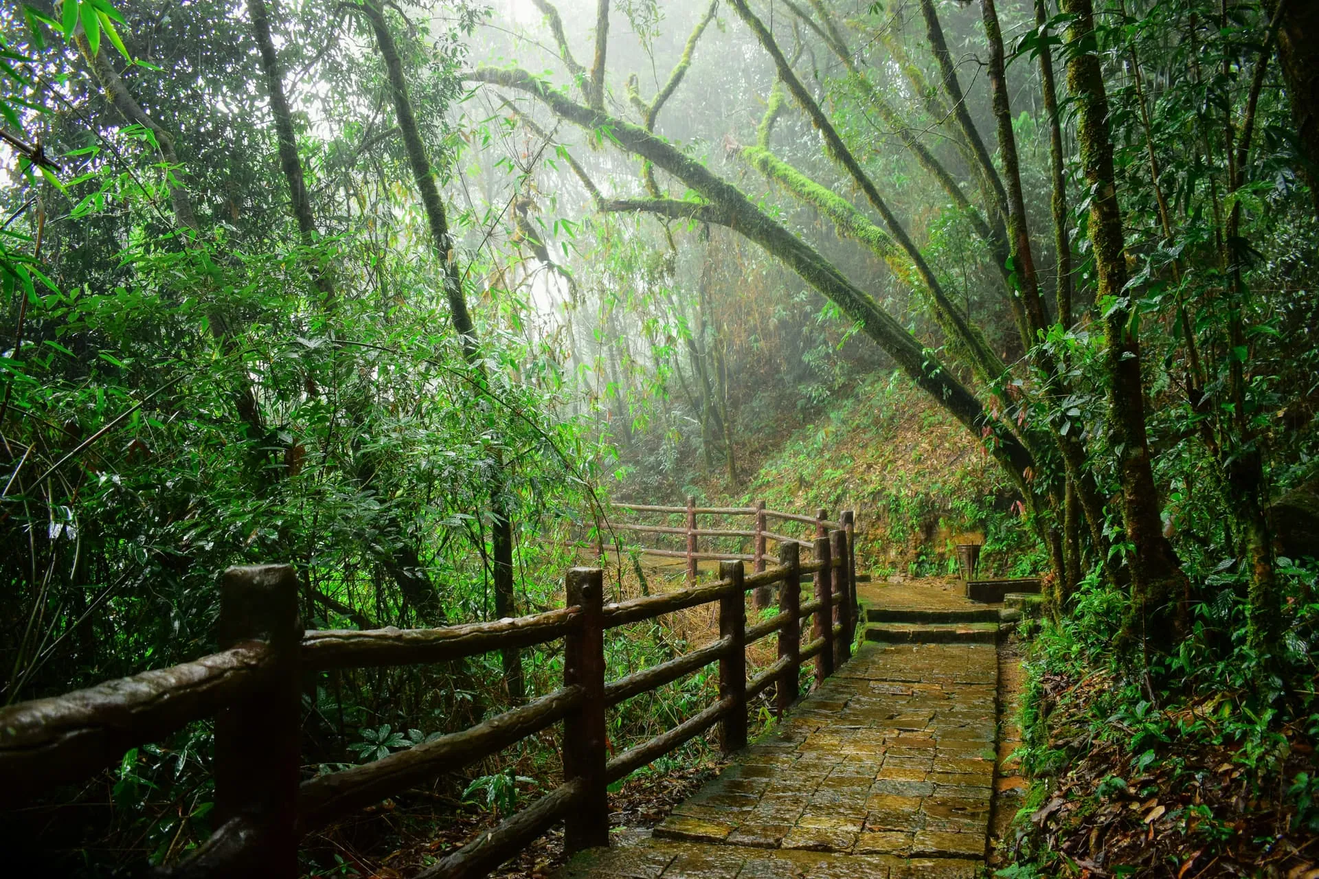 Meghalaya - Background 3