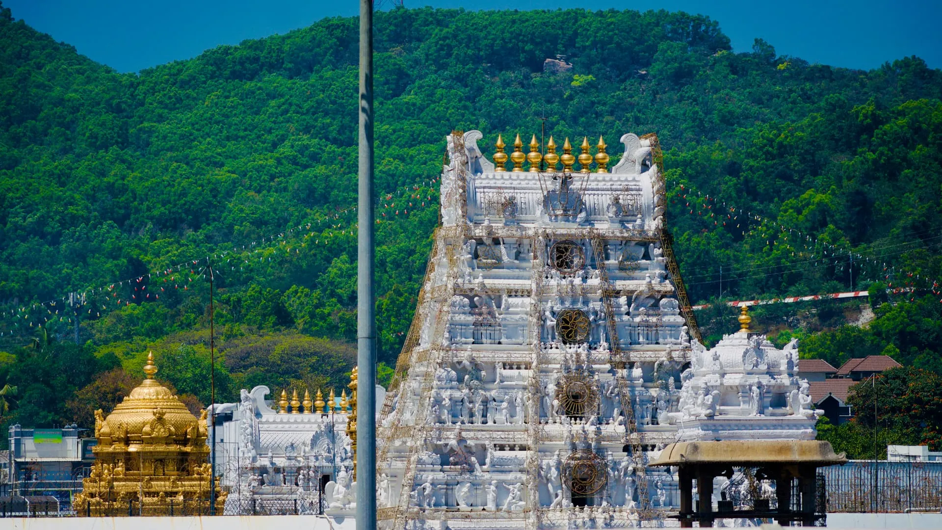 Tirupati - Background 1